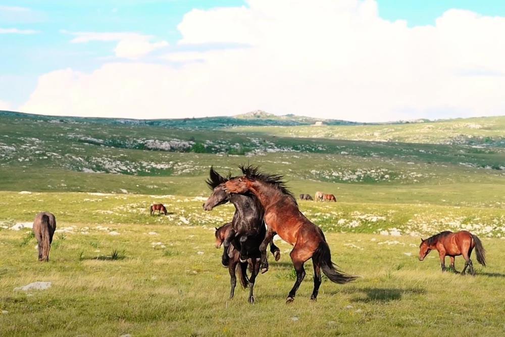 Apartman Kaić A2 Livno Bagian luar foto